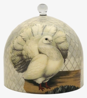 Pigeons Dome - Duck #2506675