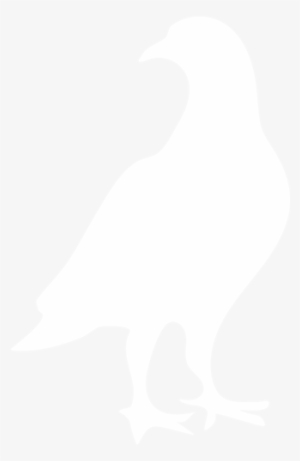 All Pests - Buzzard #2506706