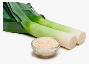 Leeks And Minced Onion - Vegetable #2506903