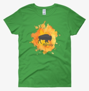 Wyoming Watercolor Burst Bison #2507337