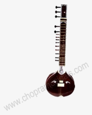 Sitar Medium - Indian Musical Instruments #2509313