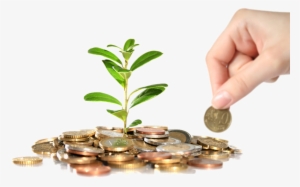 Transparency - Low To Mid//middle Class Moving Up #2510314