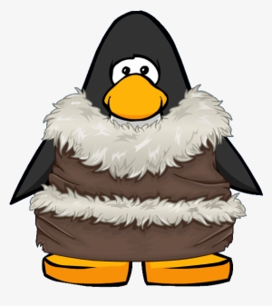 Warm Furry Frock From A Player Card - Club Penguin #2511131