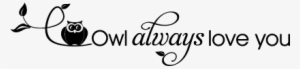 Owl Always Love You Wall Decal - Owl Always Love You Png #2511947