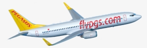 Myanmar National Airlines Provides Ground-handling - Pegasus Airlines Logi Png #2512235