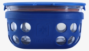 Borosilicate Glass Lunch Box & Carry Bag #2512640