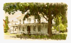 Goff House - Tree #2513380