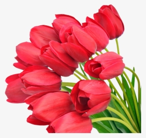 Bouquet Of Flowers Transparent Png File #2515626