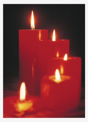 Everyday Life - - - The Demise And Also Home Business #2515701