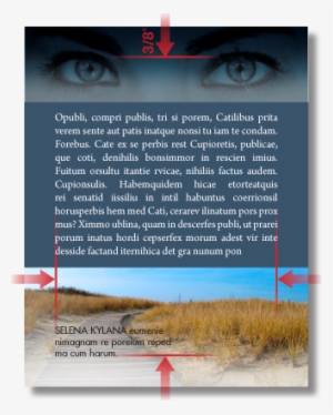 Book Cover Template Free Ms Word Cover Templates Book - Book Cover #2515893