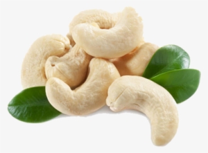 Cashew Nut Png - Hd Images Of Cashew #2516567