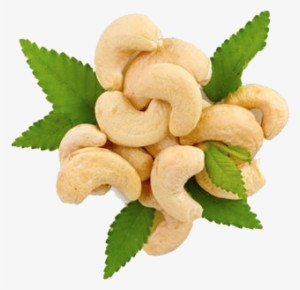 Cashew Png Hd - Hd Cashew #2516645