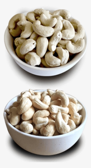 Certification - Dry Fruits Cashew #2516974