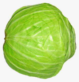 Fruits & Vegetable Single #2517575