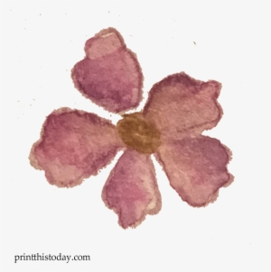 Watercolor Flower - Mayflower #2518089