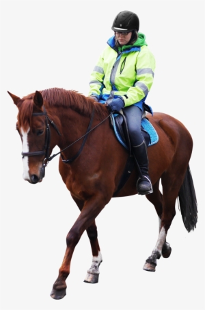 Horse Riding Png Image - Horse Riding Transparent Png #2519220
