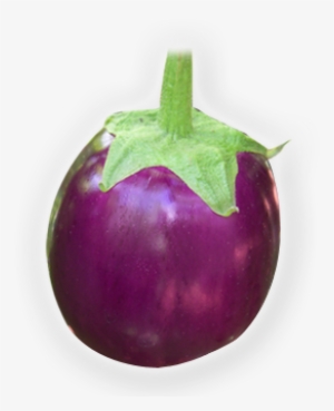 Eggplant #2519290