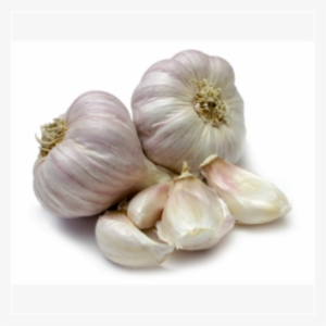 Malai Poondu #2519340