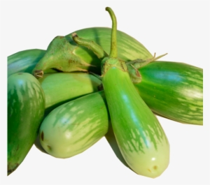 Brinjal Long - White Brinjal #2519406