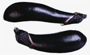 Eggplant #2519454