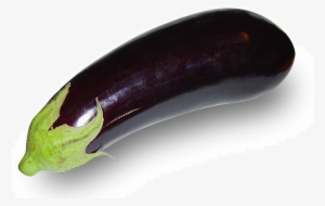 Holo Of Cats Nails And Robots Very - Aubergine #2519600