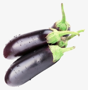 More Views - Eggplant #2519602