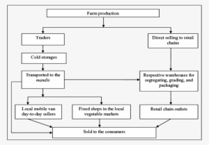 Marketing Chain For Brinjal - Diagram #2519628