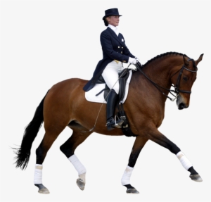 Horse And Rider Png #2519892