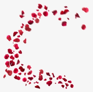 Some Flower's Effects Best Png For Edditing - Picsart All Material Png #2519945