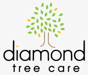 Diamond Tree Care - Certified Arborist #2521345