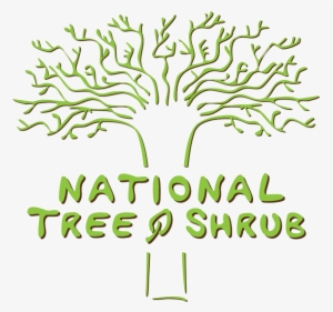 National Tree & Shrub #2521622