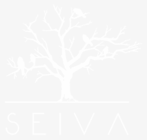 Piriformis Muscle #2521890