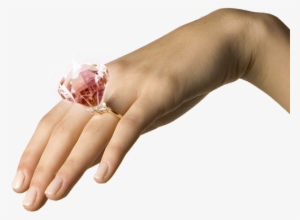 The Story Begins With A Wedding Planner Meeting Where - Fuet #2522063