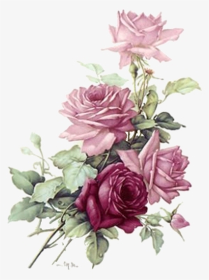 Roses - Transparent Burgundy Flowers Png #2522570