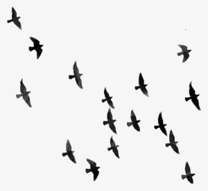 Image Result For Png Download For Picsart - Png For Picsart Background Hd #2525954