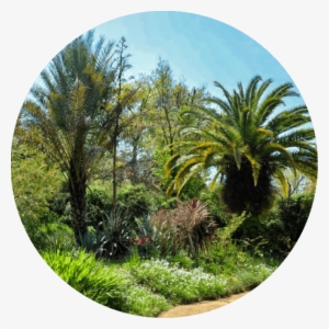 Light Gardenhikari No Niwa - Kitagawa #2526164