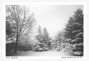 Winter Season Scenery Wallpaper Or Fabric & Blinds - Snowstorms #2526390