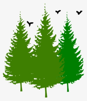 Small - Pine Trees Clip Art #2526531