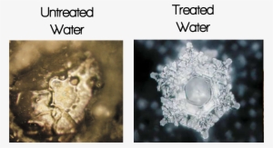 Emoto's Photographs Documented These Effects On The - Masaru Emoto #2526941