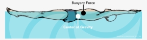 Hydrotherapy Buoyancy #2526948