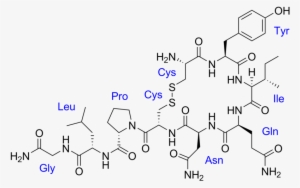 Oxytocin Chemical Structure #2527647