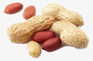 Peanuts/ Groundnut Kernels - Bounce Ball Peanut Protein Blast 49g #2527797