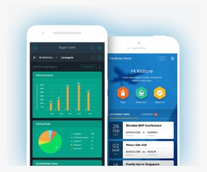 Mobile App Development - Mobile Application Development Png #2528038