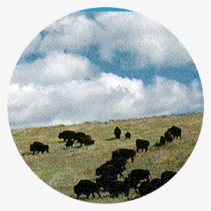 Natural Resources Of The Plains People #2528611