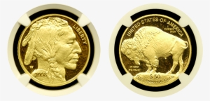 Proof 70 American Buffalo Gold Coin - American Buffalo #2529067