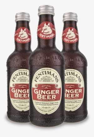 Fentimans Ginger Beer - Drink 275 Ml #2529089