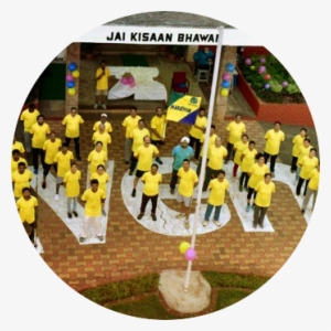 Where We Come From - Birthday Cake #2529521