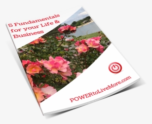 Subscribe To Get My Weekly Tips & Use This Checklist - Blog #2530097