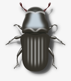 Biker Vector Motorcycle Clipart - Beetle Clipart Png #2530792