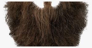 Hair And Beard Png #2531271